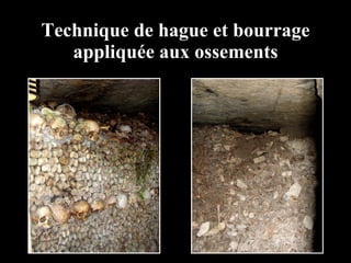 Technique de hague et bourrage appliquée aux ossements 