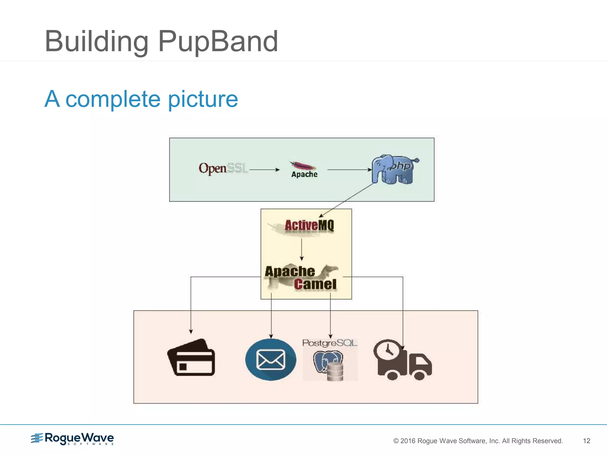 12© 2016 Rogue Wave Software, Inc. All Rights Reserved. 12
Building PupBand
A complete picture
 