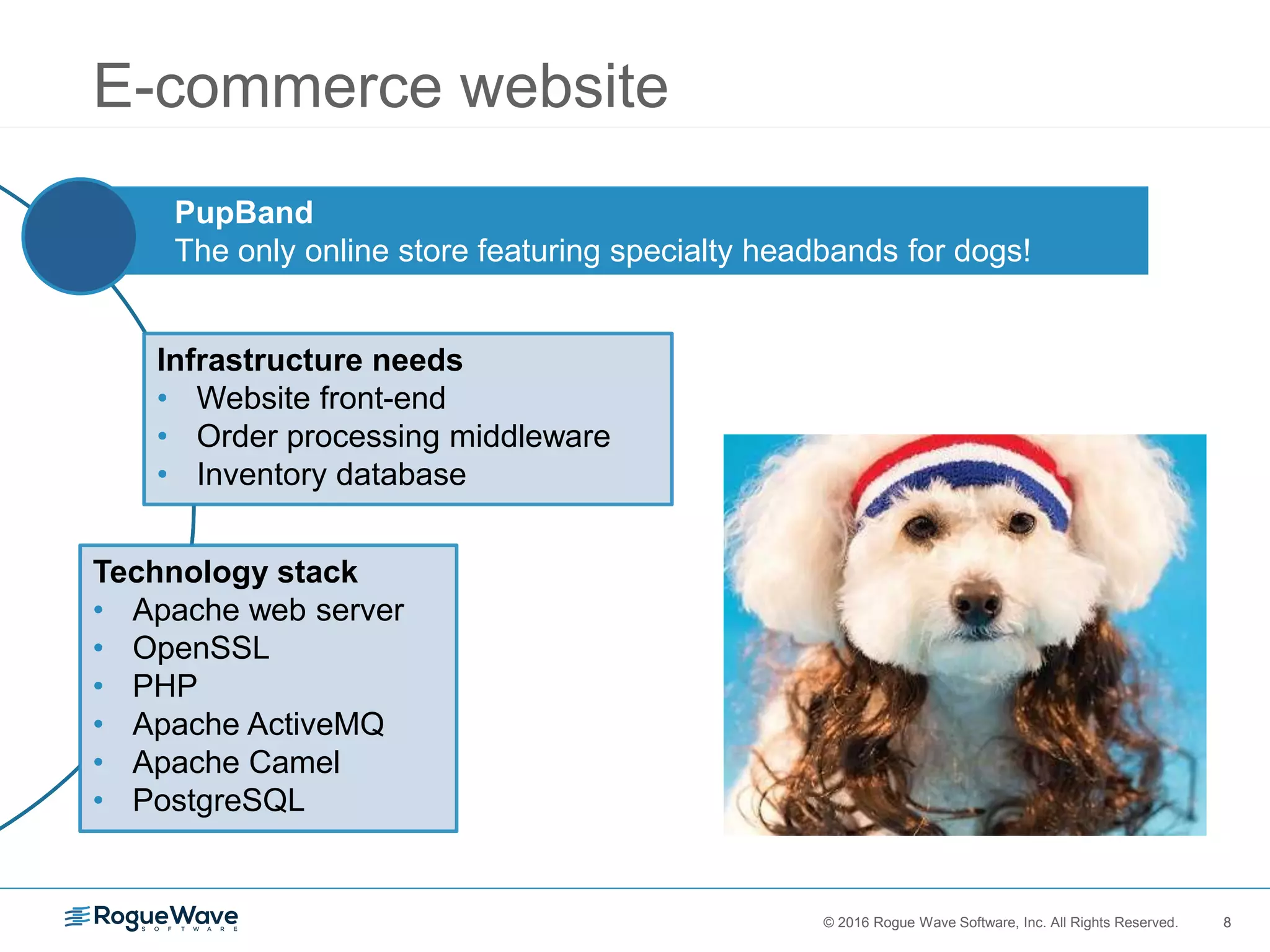 8© 2016 Rogue Wave Software, Inc. All Rights Reserved. 8
E-commerce website
PupBand
The only online store featuring specialty headbands for dogs!
Infrastructure needs
• Website front-end
• Order processing middleware
• Inventory database
Technology stack
• Apache web server
• OpenSSL
• PHP
• Apache ActiveMQ
• Apache Camel
• PostgreSQL
 