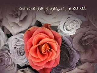 آنكه كلام او را مي‌شنود او هنوز نمرده است . 