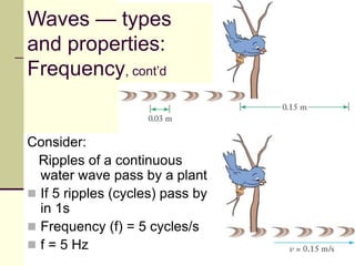 20
Consider:
Ripples of a continuous
water wave pass by a plant
 If 5 ripples (cycles) pass by
in 1s
 Frequency (f) = 5 cycles/s
 f = 5 Hz
as
Waves — types
and properties:
Frequency, cont’d
 