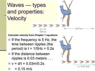 Calculate velocity from Chapter 1 equations
 If the frequency is 5 Hz, the
time between ripples (the
period) is t = 1/5Hz = 0.2s
 If the distance between
ripples is 0.03 meters . . .
 v = d/t = 0.03m/0.2s
 = 0.15 m/s
Waves — types
and properties:
Velocity
 
