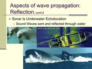 50
Aspects of wave propagation:
Reflection, cont’d
 Sonar is Underwater Echolocation
 Sound Waves sent and reflected through water
 