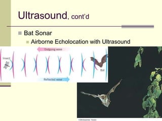71
Ultrasound, cont’d
 Bat Sonar
 Airborne Echolocation with Ultrasound
 
