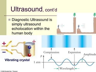 78
Ultrasound, cont’d
 Diagnostic Ultrasound is
simply ultrasound
echolocation within the
human body
Vibrating crystal
 