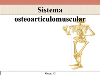 Sistema 
osteoarticulomuscular 
Grupo #2 
 