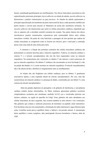 lateral, caminhando paralelamente aos miofilamentos. Nos discos intercalares encontram-se três
especializações juncionais principais: fascia adherens ou zônula de adesão, macula adherens ou
desmosoma e junções comunicantes ou gap junctions. As zônulas de adesão representam a
principal especialização da membrana da parte transversal do disco; estão presentes também nas
partes laterais e servem para ancorar os filamentos de actina dos sarcômeros terminais. As
maculae adherens são desmosomas que unem as células musculares cardíacas, impedindo que
elas se separem sob a atividade contrátil constante do coração. Nas partes laterais dos discos
encontram-se junções comunicantes responsáveis pela continuidade iônica entre células
musculares vizinhas. Do ponto de vista funcional, a passagem de íons permite que cadeias de
células musculares se comportem como se fossem um sincício, pois o sinal para a contração
passa como uma onda de uma célula para outra.

        A estrutura e a função das proteínas contratem das células musculares cardíacas são
praticamente as mesmas descritas para o músculo esquelético. Todavia, no músculo cardíaco o
sistema T e o reticulo sarcoplasmático não são tão bem organizados como no músculo
esquelético. Na nomenclatura dos ventrículos os túbulos T são maiores e mais numerosos do
que no músculo esquelético. Os túbulos T cardíacos são encontrados ao nível da banda Z e não
na junção das bandas A e I, como acontece no músculo esquelético. O reticulo sarcoplasmático
não é tão desenvolvido e distribui-se irregularmente entre os miofilamentos.

        As tríades não são freqüentes nas células cardíacas, pois os túbulos T geralmente
associam-se apenas a uma expansão lateral do reticulo sarcoplasmático. Por isso, uma das
características do músculo cardíaco é a presença de díades, constituídas por um túbulo T e uma
cisterna do reticulo sarcoplasmático.

        Alem de grandes depósitos de glicogênio e de grânulos de lipofuscina, o sarcoplasma
cardíaco contém muitas mitocôndrias. As fibras cardíacas apresentam grânulos secretores
citoplasmáticos recobertos por membrana, medindo 0,2-0,3 µm e localizados próximo aos
núcleos celulares, na região do aparelho de Golgi. Estes grânulos são mais abundantes nas
células musculares do átrio esquerdo, mas existem também no átrio direito e nos ventrículos.
São grânulos que contem a molécula precursora do hormônio ou peptídio atrial natriurético.
Este hormônio atua nos rins aumentando a eliminação de sódio (natriurese) e água (diurese) pela
urina. Contribui assim para p equilíbrio iônico e hídrico e da pressão arterial. A manutenção
deste equilíbrio é muito complexa, dela participando diversos hormônios e fatores, além do
ANP.




                                                                                             3
 