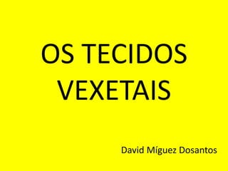 OS TECIDOS
VEXETAIS
David Míguez Dosantos
 