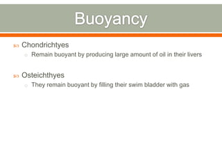    Chondrichtyes
    o Remain buoyant by producing large amount of oil in their livers



   Osteichthyes
    o They remain buoyant by filling their swim bladder with gas
 