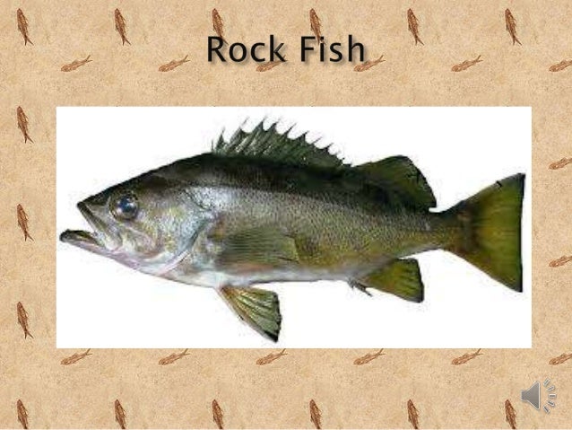 Osteichthyes