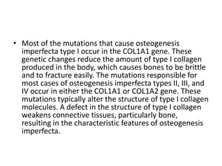 • Most of the mutations that cause osteogenesis
imperfecta type I occur in the COL1A1 gene. These
genetic changes reduce the amount of type I collagen
produced in the body, which causes bones to be brittle
and to fracture easily. The mutations responsible for
most cases of osteogenesis imperfecta types II, III, and
IV occur in either the COL1A1 or COL1A2 gene. These
mutations typically alter the structure of type I collagen
molecules. A defect in the structure of type I collagen
weakens connective tissues, particularly bone,
resulting in the characteristic features of osteogenesis
imperfecta.

 