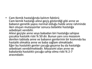 • Cam Kemik hastalığında kalıtım faktörü
Cam kemik hastalığı ailevi geçiş gösterdiği gibi anne ve
babanın genetik yapısı normal olduğu halde anne rahminde
iken oluşan mutasyonlar sonucu bebekte hastalığa
sebebiyet verebilir.
Ailevi geçişte anne veya babadan biri hastalığa sahipse
çocukta hastalık riski % 50 dir. Bunun yanı sıra mozaism
denilen tabloda anne ve babanın genlerinin bir kısmında bu
hastalık olmakta anne ve baba sağlam olmaktadır.
Eğer bu hastalıklı genler çocuğa geçerse bu da hastalığa
sebebiyet verebilmektedir. Mozaismi olan anne ve
babalarda hastalıklı çocuğa sahip olma riski % 2-7
arasındadır.

 