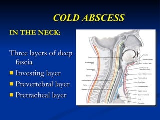 Osteo articular tuberculosis -1 | PPT