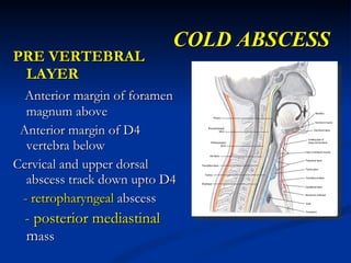Osteo articular tuberculosis -1 | PPT