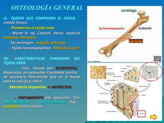 OSTEO(1-2) ZBZC C BBZBZXBZXBZGENERAL.ppt