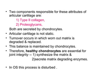 • Two components responsible for these attributes of
articular cartilage are:
1) Type II collagen,
2) Proteoglycans,
Both are secreted by chondrocytes.
• Articular cartilage is not static.
• Turnover occurs in which worn out matrix is
degraded & replaced.
• This balance is maintained by chondrocytes.
• Therefore, healthy chondrocytes are essential for
joint integrity→ 1) synthesize the matrix &
2)secrete matrix degrading enzymes.
• In OS this process is disturbed .
 