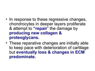 • In response to these regressive changes,
chondrocytes in deeper layers proliferate
& attempt to “repair” the damage by
producing new collagen &
proteoglycans.
• These reparative changes are initially able
to keep pace with deterioration of cartilage
but eventually loss & changes in ECM
predominate.
 