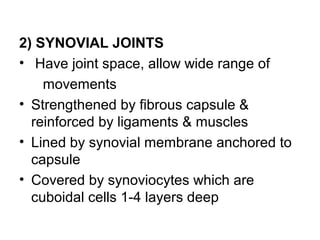 2) SYNOVIAL JOINTS
• Have joint space, allow wide range of
movements
• Strengthened by fibrous capsule &
reinforced by ligaments & muscles
• Lined by synovial membrane anchored to
capsule
• Covered by synoviocytes which are
cuboidal cells 1-4 layers deep
 
