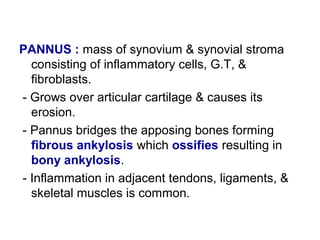 PANNUS : mass of synovium & synovial stroma
consisting of inflammatory cells, G.T, &
fibroblasts.
- Grows over articular cartilage & causes its
erosion.
- Pannus bridges the apposing bones forming
fibrous ankylosis which ossifies resulting in
bony ankylosis.
- Inflammation in adjacent tendons, ligaments, &
skeletal muscles is common.
 
