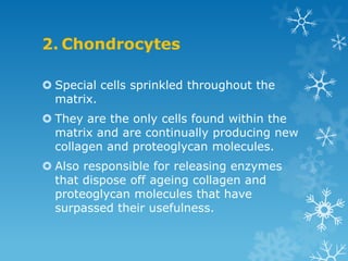 2. Chondrocytes

 Special cells sprinkled throughout the
  matrix.
 They are the only cells found within the
  matrix and are continually producing new
  collagen and proteoglycan molecules.
 Also responsible for releasing enzymes
  that dispose off ageing collagen and
  proteoglycan molecules that have
  surpassed their usefulness.
 