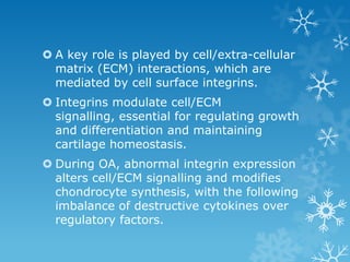  A key role is played by cell/extra-cellular
  matrix (ECM) interactions, which are
  mediated by cell surface integrins.
 Integrins modulate cell/ECM
  signalling, essential for regulating growth
  and differentiation and maintaining
  cartilage homeostasis.
 During OA, abnormal integrin expression
  alters cell/ECM signalling and modifies
  chondrocyte synthesis, with the following
  imbalance of destructive cytokines over
  regulatory factors.
 