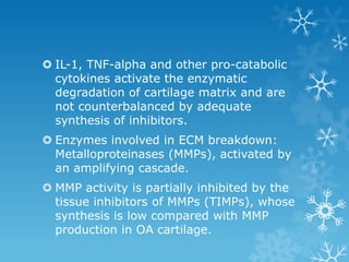  IL-1, TNF-alpha and other pro-catabolic
  cytokines activate the enzymatic
  degradation of cartilage matrix and are
  not counterbalanced by adequate
  synthesis of inhibitors.
 Enzymes involved in ECM breakdown:
  Metalloproteinases (MMPs), activated by
  an amplifying cascade.
 MMP activity is partially inhibited by the
  tissue inhibitors of MMPs (TIMPs), whose
  synthesis is low compared with MMP
  production in OA cartilage.
 