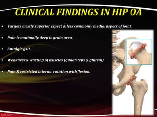 CLINICAL FINDINGS IN HIP OA
• Targets mostly superior aspect & less commonly medial aspect of joint.
• Pain is maximally deep in groin area.
• Antalgic gait.
• Weakness & wasting of muscles (quadriceps & gluteal).
• Pain & restricted internal rotation with flexion.
 