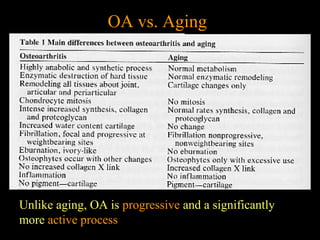 OA vs. Aging
Unlike aging, OA is progressive and a significantly
more active process
 