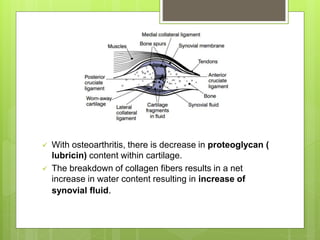  With osteoarthritis, there is decrease in proteoglycan (
lubricin) content within cartilage.
 The breakdown of collagen fibers results in a net
increase in water content resulting in increase of
synovial fluid.
 