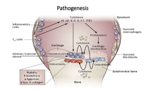 Pathogenesis
 