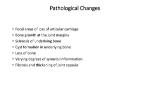 Pathological Changes
• Focal areas of loss of articular cartilage
• Bone growth at the joint margins
• Sclerosis of underlying bone
• Cyst formation in underlying bone
• Loss of bone
• Varying degrees of synovial inflammation
• Fibrosis and thickening of joint capsule
 