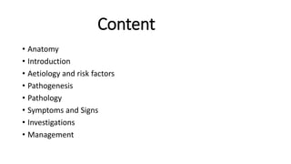 Content
• Anatomy
• Introduction
• Aetiology and risk factors
• Pathogenesis
• Pathology
• Symptoms and Signs
• Investigations
• Management
 