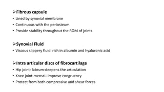 Fibrous capsule
• Lined by synovial membrane
• Continuous with the periosteum
• Provide stability throughout the ROM of joints
Synovial Fluid
• Viscous slippery fluid rich in albumin and hyaluronic acid
Intra articular discs of fibrocartilage
• Hip joint- labrum-deepens the articulation
• Knee joint-mensci- improve congruency
• Protect from both compressive and shear forces
 