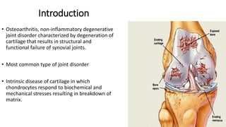 Introduction
• Osteoarthritis, non-inflammatory degenerative
joint disorder characterized by degeneration of
cartilage that results in structural and
functional failure of synovial joints.
• Most common type of joint disorder
• Intrinsic disease of cartilage in which
chondrocytes respond to biochemical and
mechanical stresses resulting in breakdown of
matrix.
 