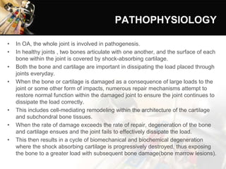 PATHOPHYSIOLOGY
• In OA, the whole joint is involved in pathogenesis.
• In healthy joints , two bones articulate with one another, and the surface of each
bone within the joint is covered by shock-absorbing cartilage.
• Both the bone and cartilage are important in dissipating the load placed through
joints everyday.
• When the bone or cartilage is damaged as a consequence of large loads to the
joint or some other form of impacts, numerous repair mechanisms attempt to
restore normal function within the damaged joint to ensure the joint continues to
dissipate the load correctly.
• This includes cell-mediating remodeling within the architecture of the cartilage
and subchondral bone tissues.
• When the rate of damage exceeds the rate of repair, degeneration of the bone
and cartilage ensues and the joint fails to effectively dissipate the load.
• This then results in a cycle of biomechanical and biochemical degeneration
where the shock absorbing cartilage is progressively destroyed, thus exposing
the bone to a greater load with subsequent bone damage(bone marrow lesions).
 