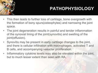PATHOPHYSIOLOGY
• This then leads to further loss of cartilage, bone overgrowth with
the formation of bony spurs(osteophytes) and narrowing the joint
space.
• The joint degeneration results in painful and tender inflammation
of the synovial lining of the joint(synovitis) and swelling of the
joint(effusion).
• Synovitis may be present in early cartilage changes to the joint,
and there is cellular infiltration with macrophages, activated T and
B cells, and accompanying vasuclar proliferation.
• Inflammatory cytokine levels may also be elevated within the joint,
but to much lesser extent than seen with RA.
 