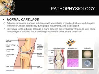 PATHOPHYSIOLOGY
• NORMAL CARTILAGE
 Articular cartilage is a unique substance with viscoelastic properties that provide lubrication
with motion, shock absorbency during rapid movements, and load support.
 In synovial joints, articular cartilage is found between the synovial cavity on one side, and a
narrow layer of calcified tissue overlying subchondral bone, on the other side.
 