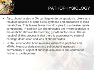 PATHOPHYSIOLOGY
• Also, chondrocytes in OA cartilage undergo apoptosis. Likely as a
result of induction of nitric oxide synthase and production of toxic
metabolites. This leaves fewer chondrocytes to synthesize matrix
components. In addition OA chondrocytes are hyporesponsive to
the anabolic stimulus transforming growth factor- beta. The net
result of all this process is that there is a progressive cycle of
cartilage destruction and loss of chondrocytes.
• In OA, subchondral bone releases vasoactive peptides and
MMPs. Neovascularisation and subsequent increased
permeability of adjacent cartilage also occurs and contributes
further to cartilage loss.
 