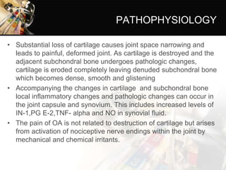 PATHOPHYSIOLOGY
• Substantial loss of cartilage causes joint space narrowing and
leads to painful, deformed joint. As cartilage is destroyed and the
adjacent subchondral bone undergoes pathologic changes,
cartilage is eroded completely leaving denuded subchondral bone
which becomes dense, smooth and glistening
• Accompanying the changes in cartilage and subchondral bone
local inflammatory changes and pathologic changes can occur in
the joint capsule and synovium. This includes increased levels of
IN-1,PG E-2,TNF- alpha and NO in synovial fluid.
• The pain of OA is not related to destruction of cartilage but arises
from activation of nociceptive nerve endings within the joint by
mechanical and chemical irritants.
 