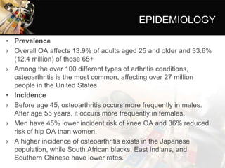 EPIDEMIOLOGY
• Prevalence
› Overall OA affects 13.9% of adults aged 25 and older and 33.6%
(12.4 million) of those 65+
› Among the over 100 different types of arthritis conditions,
osteoarthritis is the most common, affecting over 27 million
people in the United States
• Incidence
› Before age 45, osteoarthritis occurs more frequently in males.
After age 55 years, it occurs more frequently in females.
› Men have 45% lower incident risk of knee OA and 36% reduced
risk of hip OA than women.
› A higher incidence of osteoarthritis exists in the Japanese
population, while South African blacks, East Indians, and
Southern Chinese have lower rates.
 