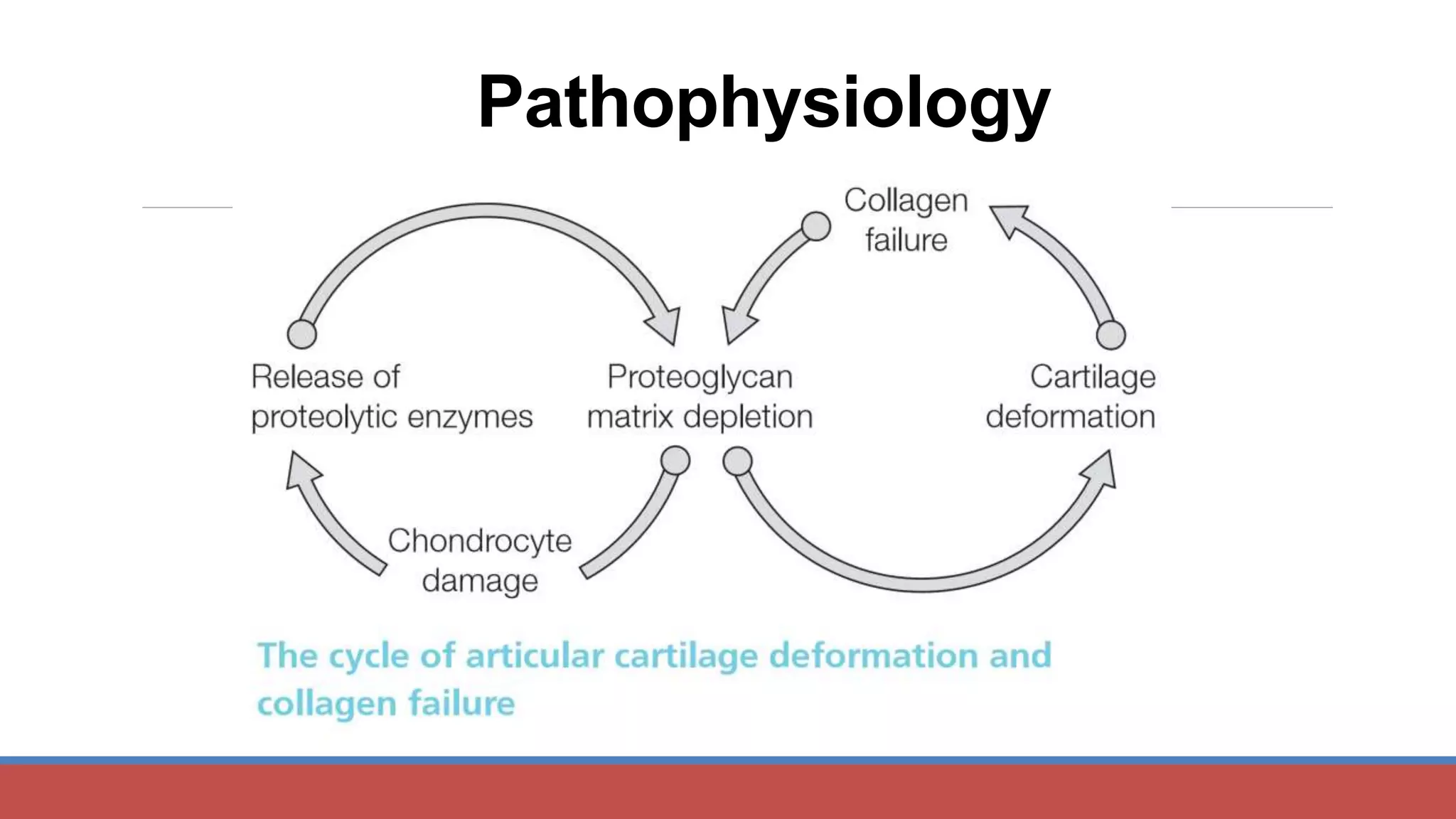 Pathophysiology
 