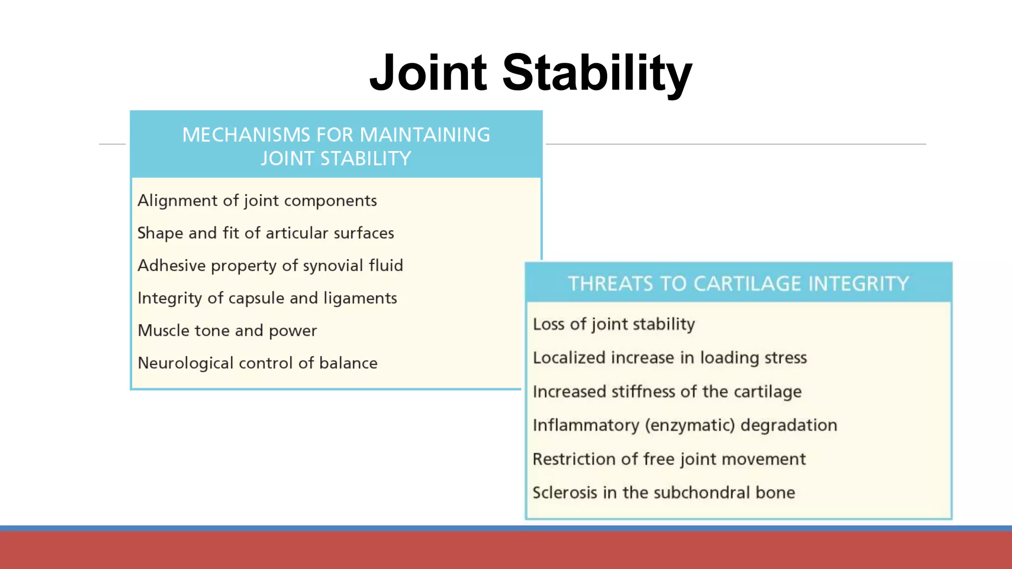 Joint Stability
 