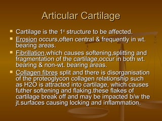 Articular Cartilage
   Cartilage is the 1st structure to be affected.
   Erosion occurs,often central & frequently in wt.
    bearing areas.
   Fibrillation,which causes softening,splitting and
    fragmentation of the cartilage,occur in both wt.
    bearing & non-wt. bearing areas.
   Collagen fibres split and there is disorganisation
    of the proteoglycon collagen relationship such
    as H2O is attracted into cartilage, which causes
    futher softening and flaking.these flakes of
    cartilage break off and may be impacted b/w the
    jt.surfaces causing locking and inflammation.
 