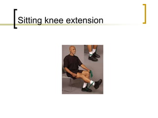 Sitting knee extension
 