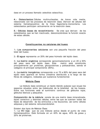 ósea en un proceso llamado osteolisis osteocítica.
4.- Osteoclastos: Células multinucleadas, de breve vida media,
relacionada con los procesos de resorción ósea. Derivan de células del
sistema hematopoyético de la línea fagocitaria- monocitaria. Los
osteoclastos participan activamente en la resorción ósea.
5.- Células óseas de revesti mie n to: Se cree que derivan de los
osteoblastos que se han inactivado, desconociéndose la función exacta
de estas células.
Constitu ye n tes no celulares del hueso
1.- Los componen tes celulares son una pequeña fracción del peso
total del hueso.
2.- El agua representa un 20% del peso húmedo del tejido óseo.
3.- La matriz orgánica corresponde aproximadamente a un 20 a 30%
del peso seco del tejido óseo. Esta matriz está constituída
principalmente por proteínas, glicoproteínas y polisacáridos, siendo el
colágeno el principal componente (90%).
4.- La matriz inorgánica corresponde a un 70 a 80% del peso seco del
tejido óseo aparece en forma cristalina distribuído a lo largo de las
fibras de colágeno, rodeadas por sustancia fundamental.
Médula Ósea
La médula ósea constituye un tejido blando pulposo que ocupa los
espacios situados entre las trabéculas de la totalidad de los huesos.
Entre sus funciones está el suministro continuo de glóbulos rojos,
glóbulos blancos y plaquetas.
Composición de la médula : consta de una matriz ósea mineralizada,
tejido conectivo y distintas células, entre las que se cuentan todas las
fases de desarrollo de los eritrocitos y los leucocitos, así como células
adiposas y del sistema reticuloendotelial.
Existen dos tipos de Médula Ósea:
1.- La MO roja que es una médula activa desde el punto de vista
hematopoyético. Está formada en un 40% de agua, 40% de grasa y
20% de proteínas.
 