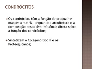  Oscondrócitos têm a função de produzir e
 manter a matriz, enquanto a arquitetura e a
 composição desta têm influência direta sobre
 a função dos condrócitos;

 Sintetizamo Cólageno tipo II e os
 Proteoglicanos;
 