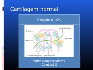 Cartilagem normal
Matriz extra-celular:95%
Células:5%
Colágeno ll- 90%
 