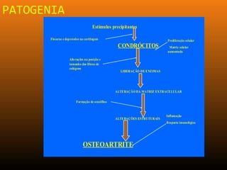 PATOGENIA
Estímulos precipitantesEstímulos precipitantes
CONDRÓCITOSCONDRÓCITOS
Fissuras e depressões na cartilagem
Alterações na posição e
tamanho das fibras de
colágeno
LIBERAÇÃO DE ENZIMAS
ALTERAÇÃO DA MATRIZ EXTRACELULAR
ALTERAÇÕES ESTRUTURAIS
Formação de osteófitos
OSTEOARTRITEOSTEOARTRITE
Inflamação
Resposta imunológica
Proliferação celular
Matriz celular
aumentada
 