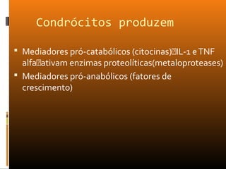 Condrócitos produzem
 Mediadores pró-catabólicos (citocinas)IL-1 eTNF
alfaativam enzimas proteolíticas(metaloproteases)
 Mediadores pró-anabólicos (fatores de
crescimento)
 