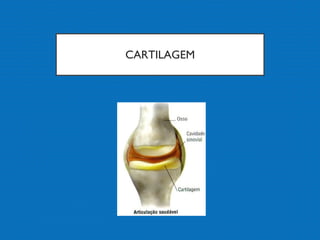 CARTILAGEM
 